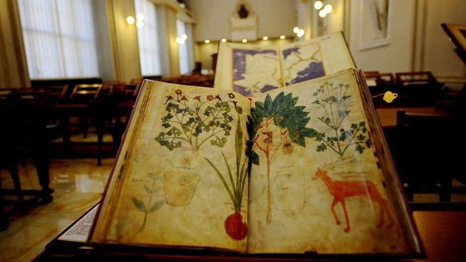 Senuosius Vatikano rankraščius jau galime pamatyti nemokamai ir iš namų
