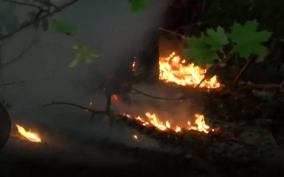 Vilniuje degė draustinis: ugnį vyras malšino tuo, kas pasitaikė po ranka