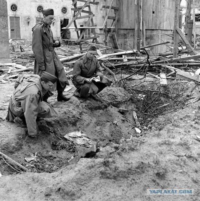 Hitlerio Blondi ir kiti fiurerio bunkerio keturkojai