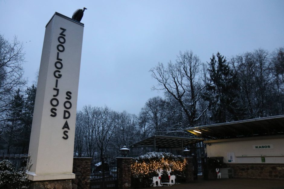 Lietuvos zoologijos sode gyvūnams pradedamos dalinti kalėdinės dovanos