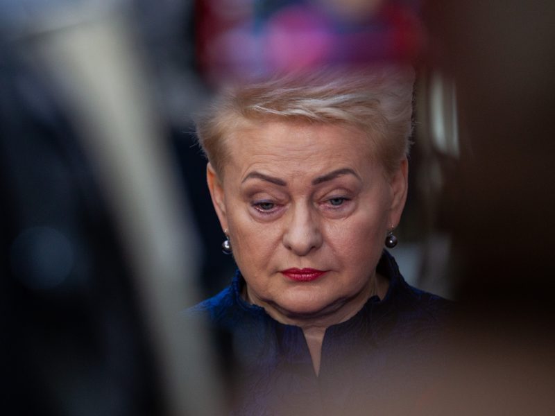 D. Grybauskaitė: matau politikus, kurie bijo atsakomybės