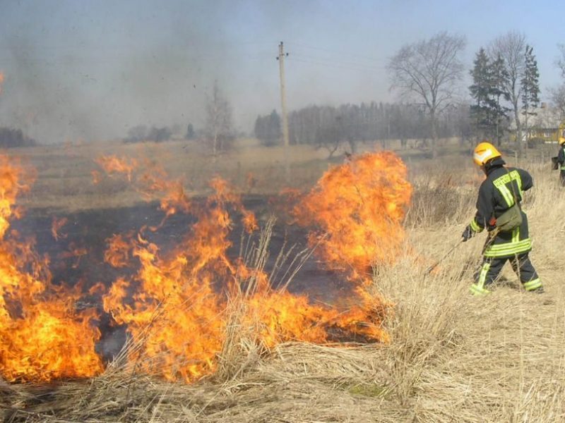 Degančios žolės pasekmės tęsiasi: Rokiškio rajone sudegė trys pastatai
