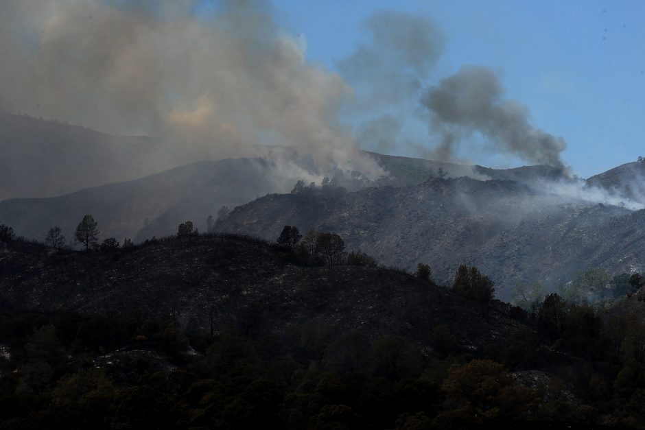 Kalifornijoje kovojama su didžiuliais miškų gaisrais