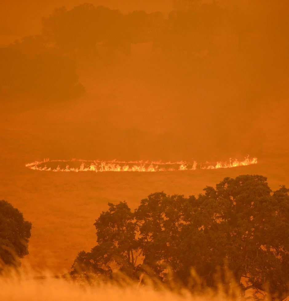 Kalifornijoje kovojama su didžiuliais miškų gaisrais