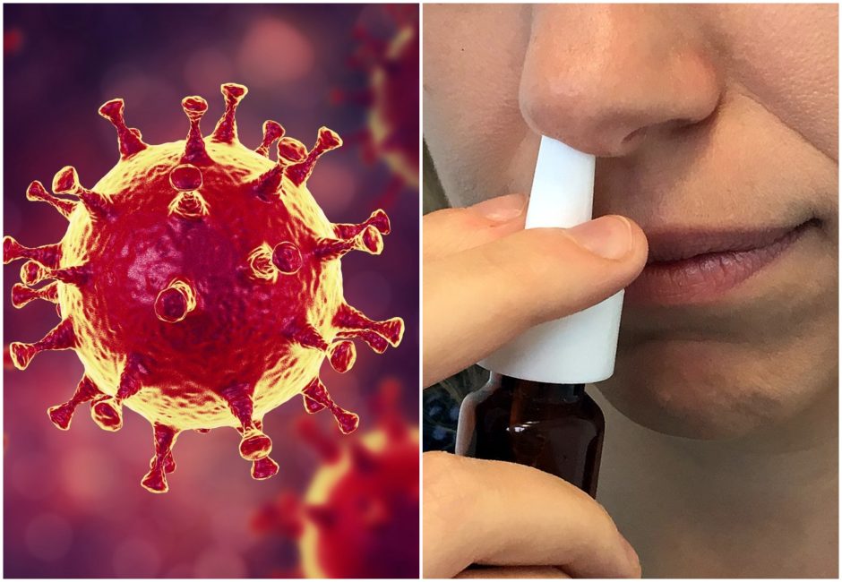 Nauja mokslininkų inovacija: nosies purškalas padės apsisaugoti nuo COVID-19?