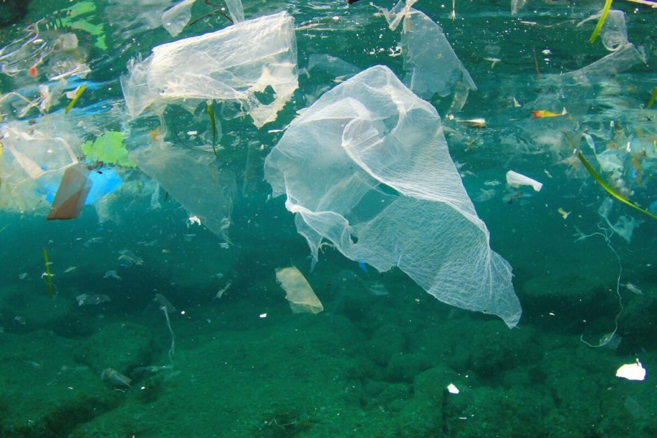 Japonai sukūrė plastikinius maišelius, suyrančius jūros vandenyje