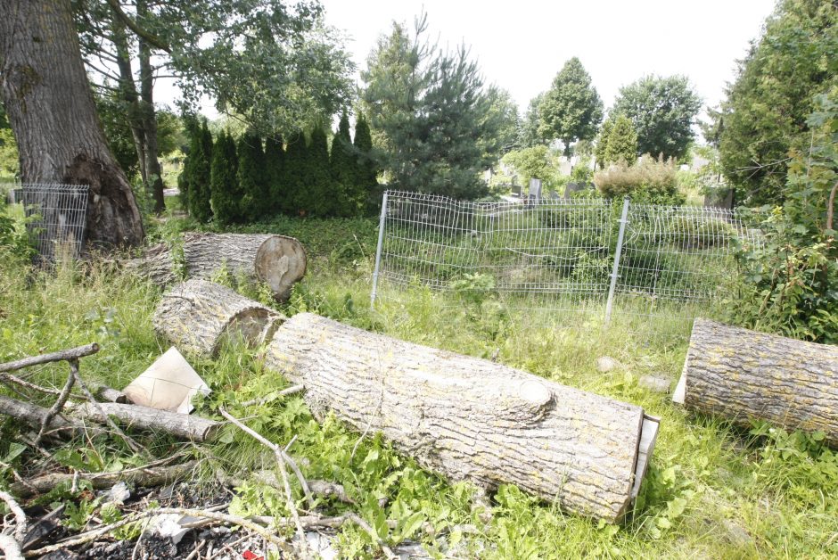 Netvarka bado akis klaipėdiečiams: kas išpjovė medžius kapinėse – mįslė