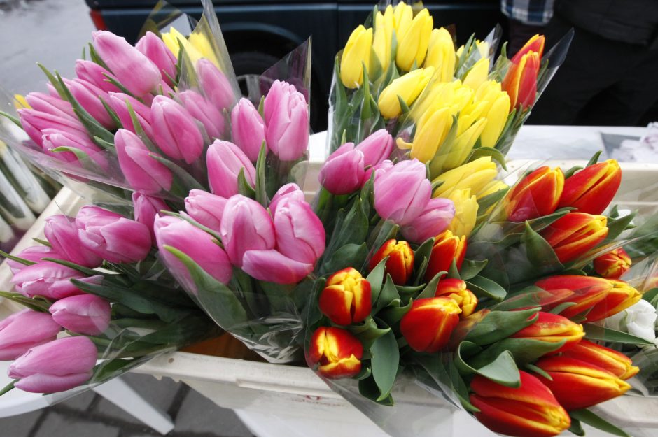Įsimylėjėlių dieną Klaipėdoje gėlėmis nelijo