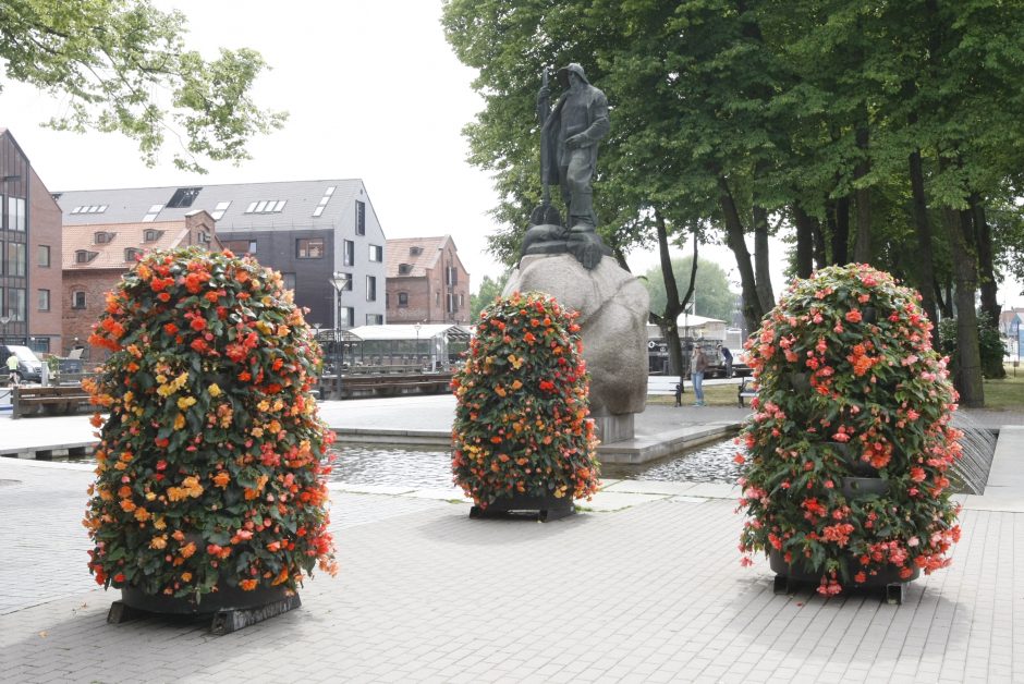 Klaipėdos gėlių žiedus alina sausra