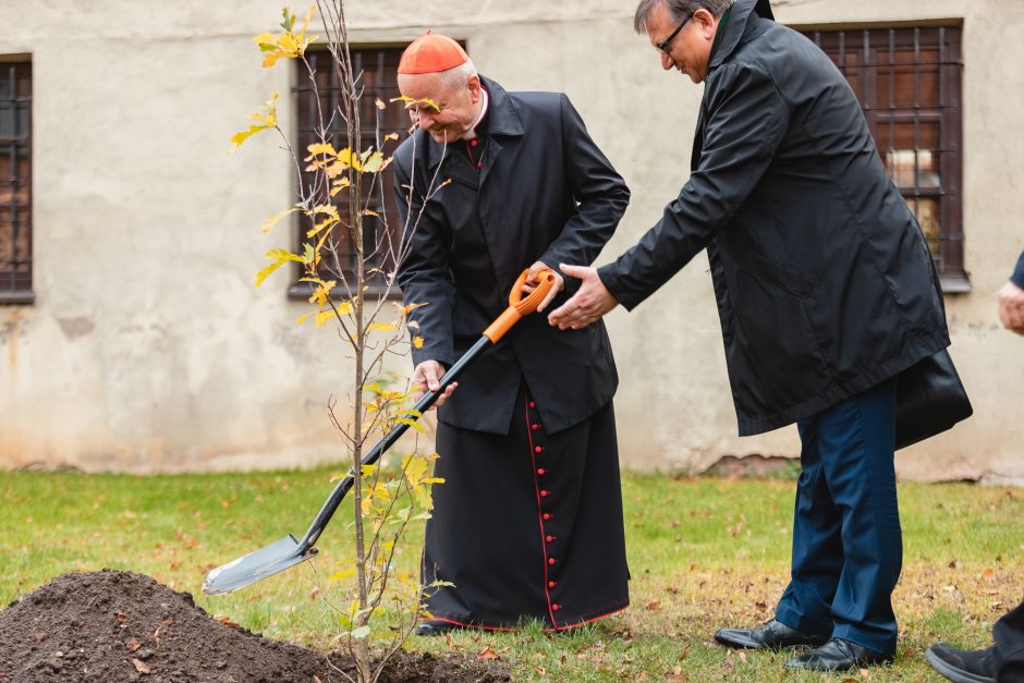 Sambūrio „Gerumo ąžuolas“ susitikimas: katedros šventoriuje pasodino ąžuolą