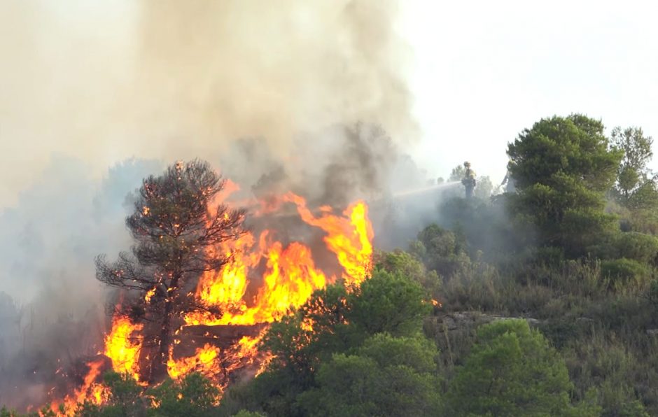 Ispanijoje siaučia nekontroliuojamas miškų gaisras: kalta karščio banga