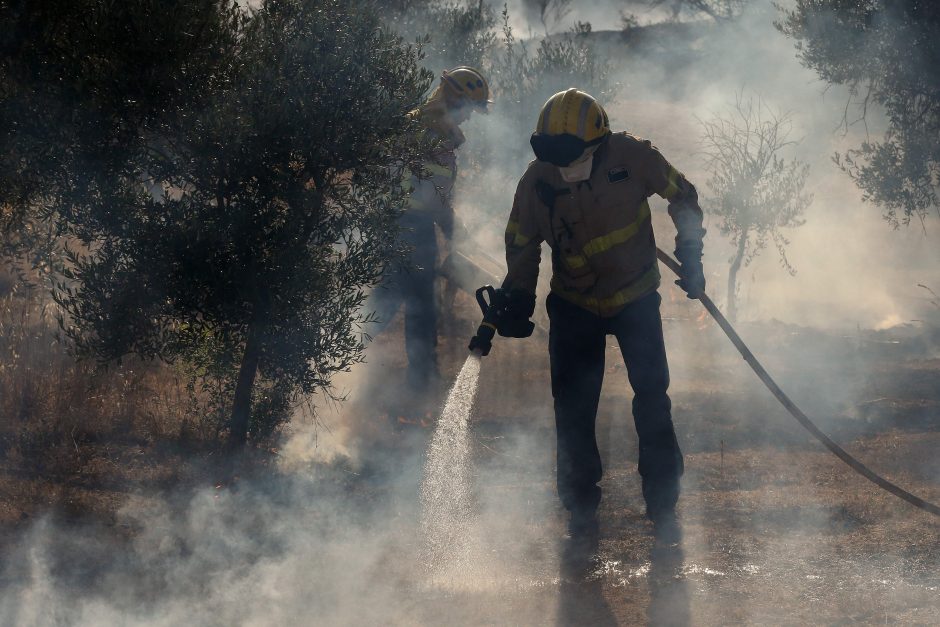 Miško gaisras Madrido regione nevaldomai siaučia ketvirtą dieną iš eilės