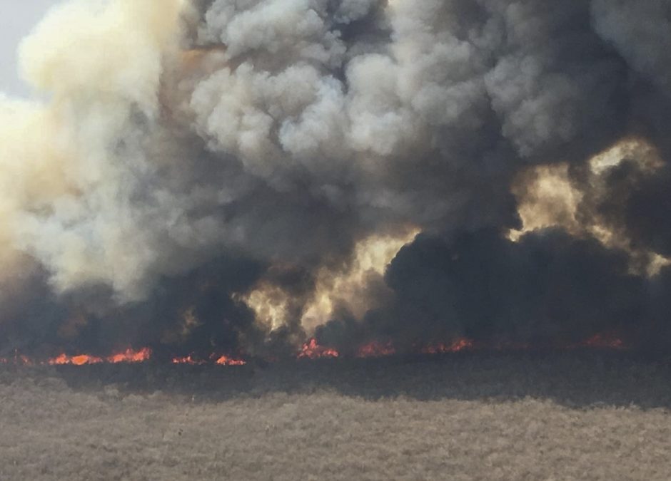 Boliviją talžo miškų gaisrai: ugnis apėmusi daugiau nei pusę šalies teritorijos