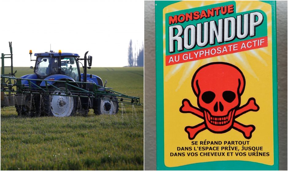 Penkiuose Prancūzijos miestuose uždrausti pesticidai: reikia saugoti bioįvairovę
