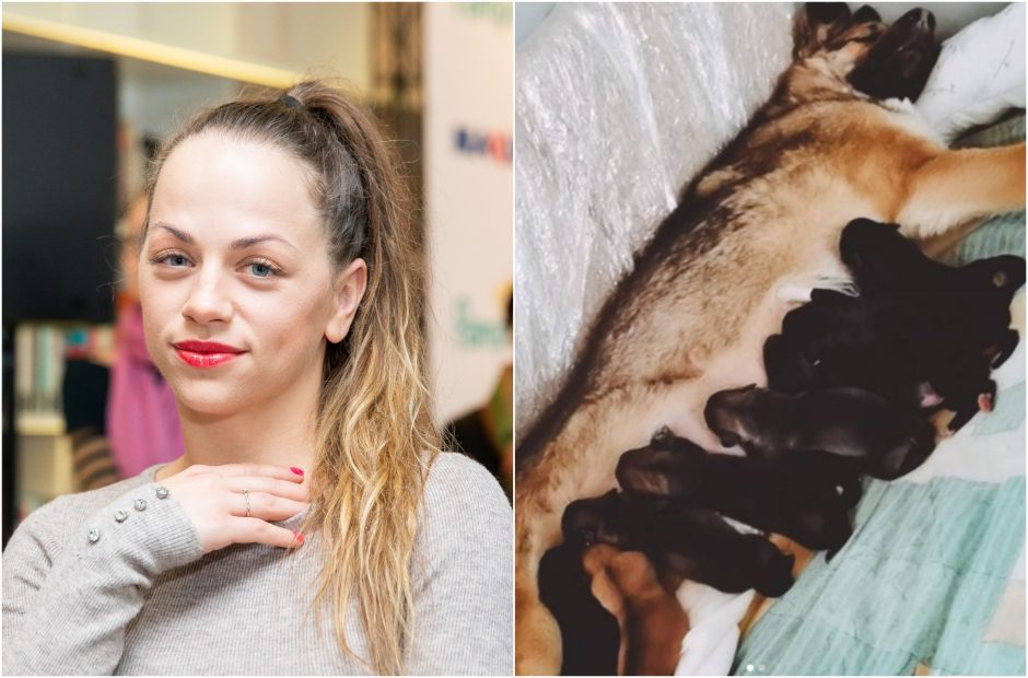 I. Puzaraitės-Žvagulienės augintinei atsivedus 9 šuniukus – internautų kritika dėl sterilizacijos