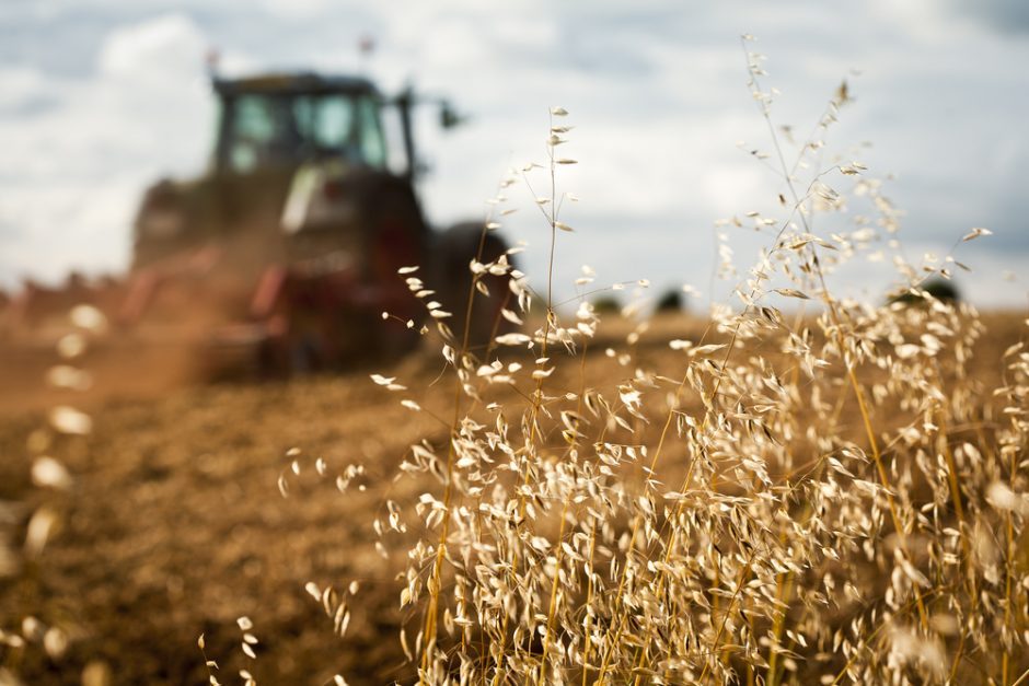 Lietuvoje siūloma uždrausti prieštaringai vertinamą herbicidą – glifosatą
