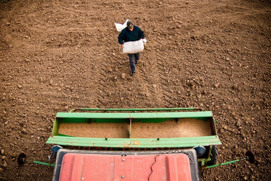 ŽŪM: ūkininkai ir toliau galės naudotis Lietuvos kaimo plėtros programos pagalba