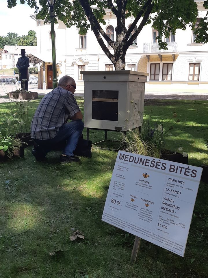 Istorinės Prezidentūros sodelyje apsigyveno bitės: jei norite pamatyti – paskubėkite