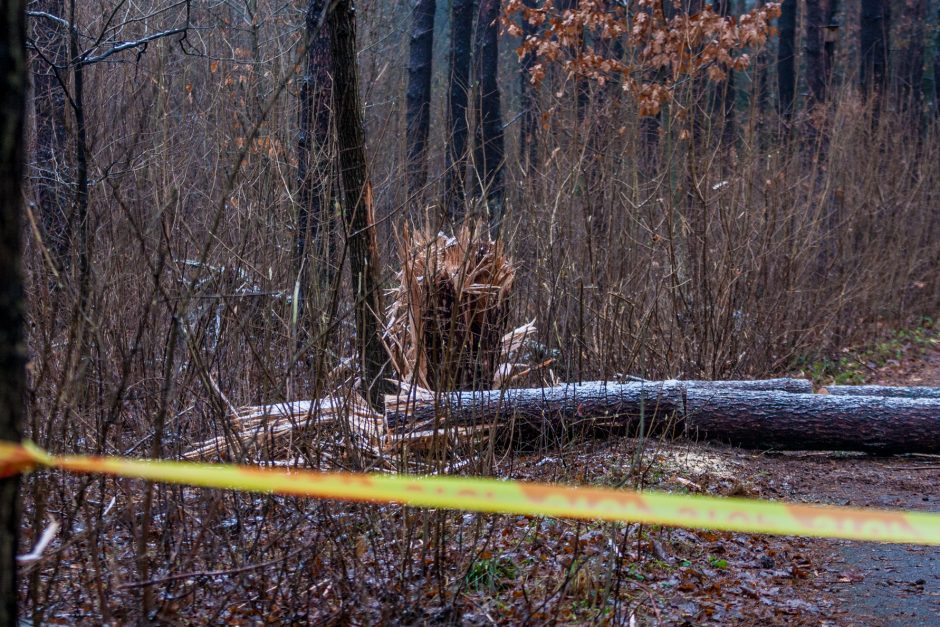 Dėl sprogmens Kleboniškio miške – tarnybų sujudimas