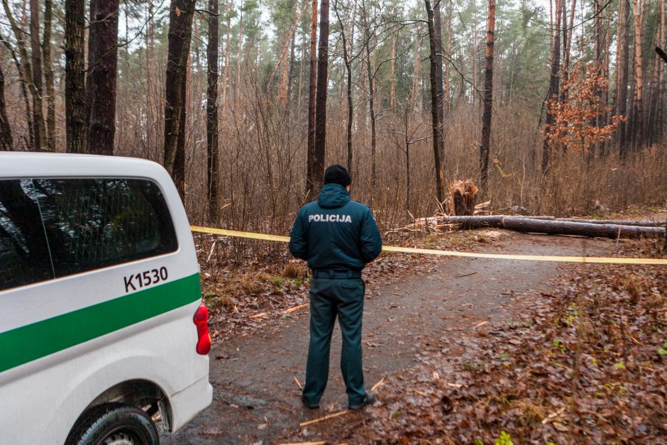 Dėl sprogmens Kleboniškio miške – tarnybų sujudimas