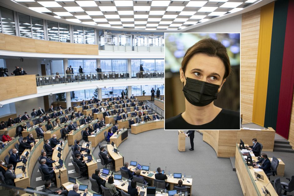 V. Čmilytė-Nielsen: COVID-19 grėsmė darys įtaką Seimo darbui