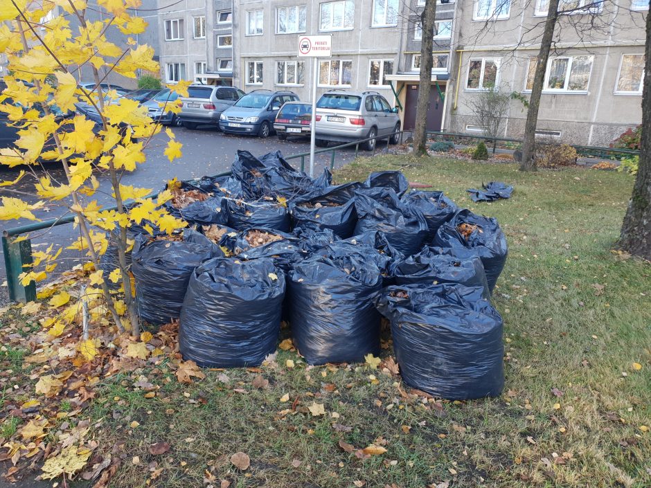 Kauniečiai ne vietoje palieka šiukšles ir juodų maišų kalnus