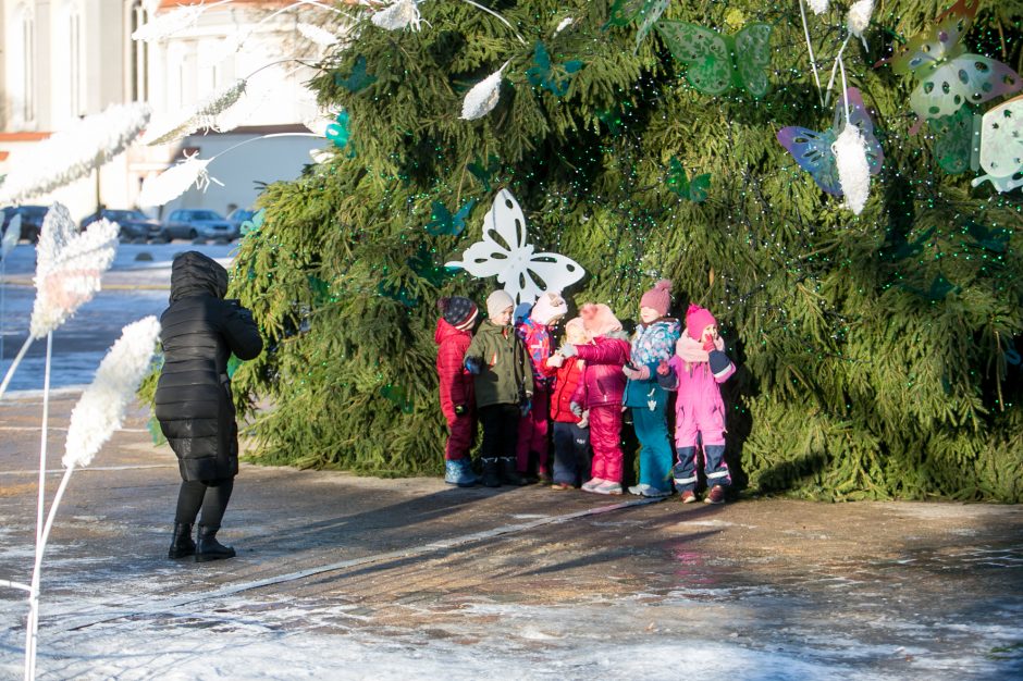 Kauniečiai leidžia laiką stebuklingame Kalėdų sode