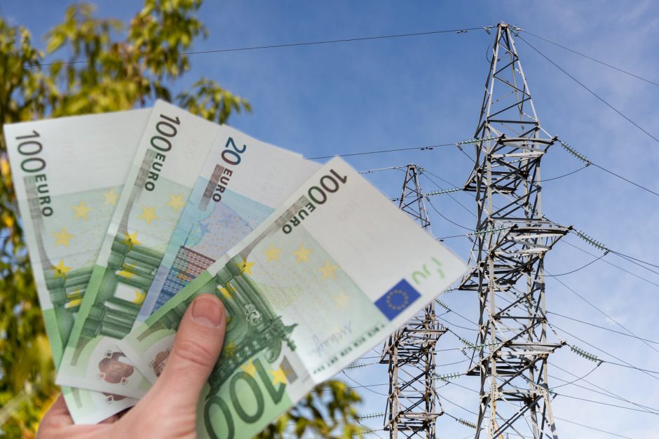 Kova su elektros kainomis: ar subsidijos nevirs meškos paslauga?