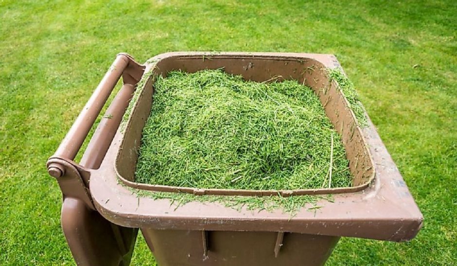 Žaliosios atliekos: kompostuoti, vežti į aikšteles arba užsisakyti jų išvežimo paslaugą