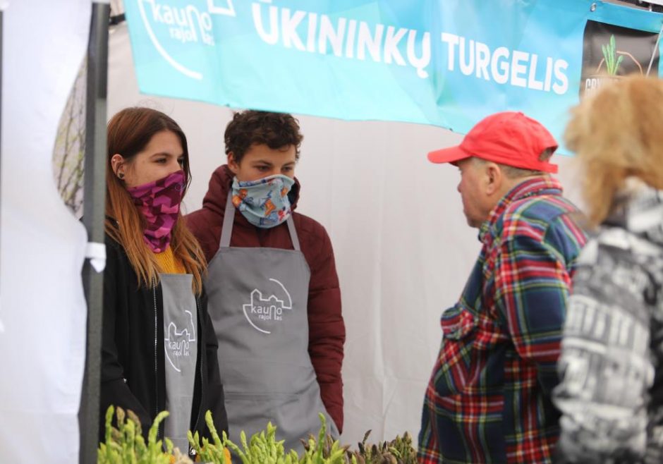 Startavo Kauno rajono ūkininkų turgelis: sėkmei pritraukti paberta grūdų