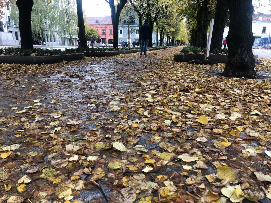 Beda pirštu į lapais nuklotas Kauno gatves: tikrų tikriausia čiuožykla!