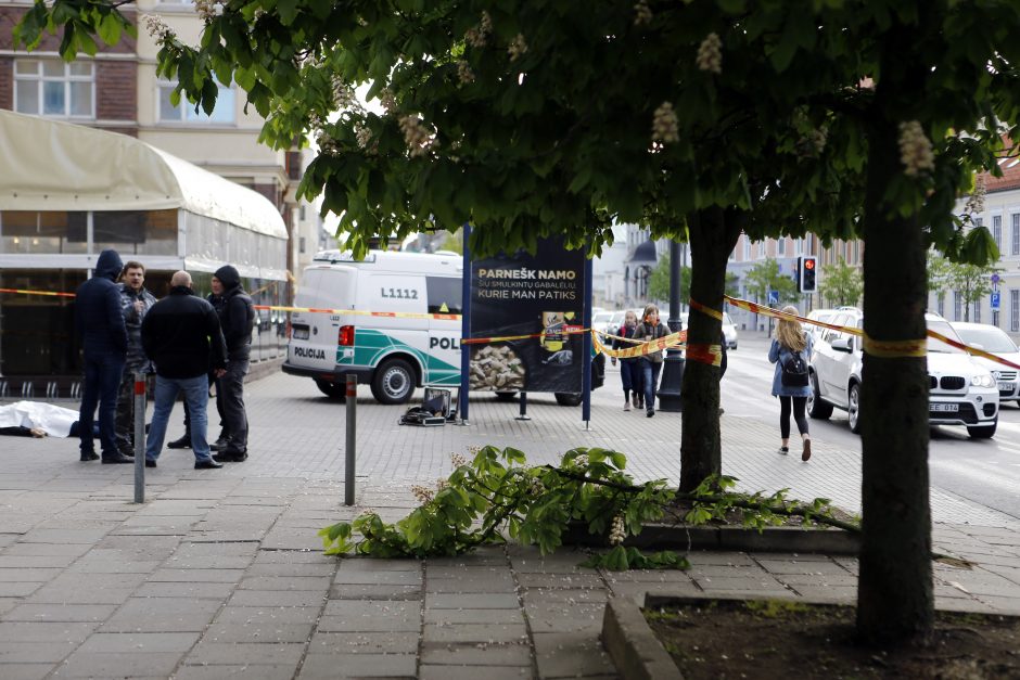 Policininkas Klaipėdoje iškrito iš medžio