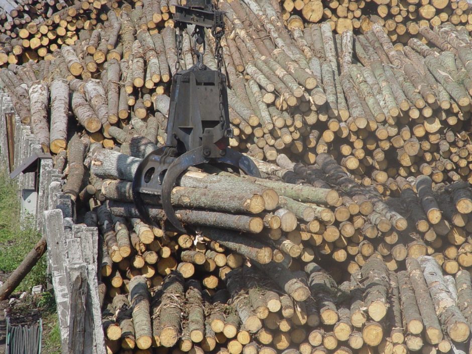 Įmonėje „Pajūrio mediena“ smilko biokuras