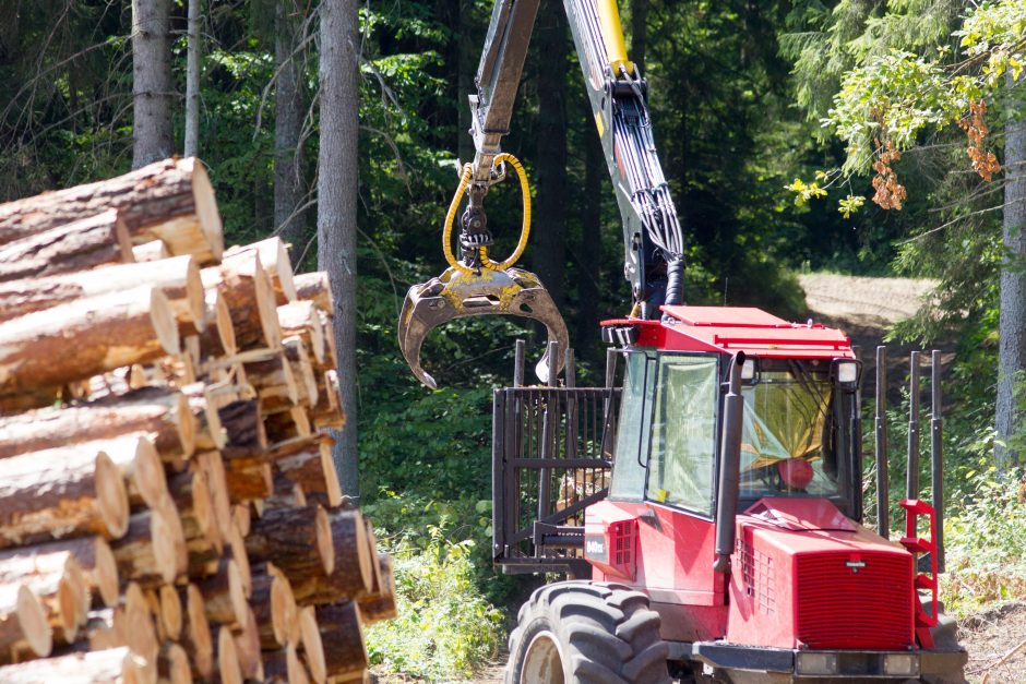 Teismas iš naujo spręs ginčą dėl padidintos miškų kirtimo normos