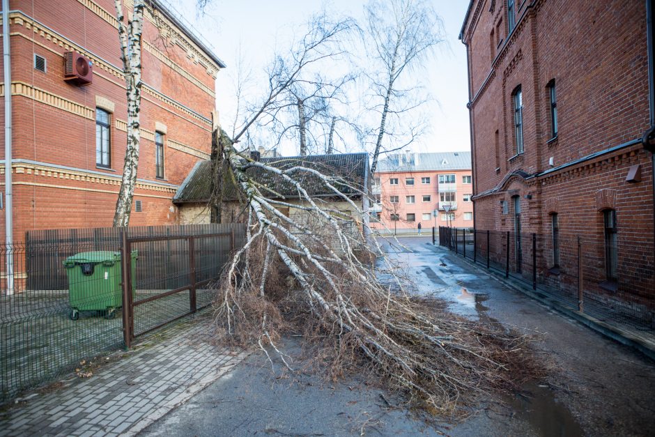Stiprus vėjas Kaune apgadino namų stogus