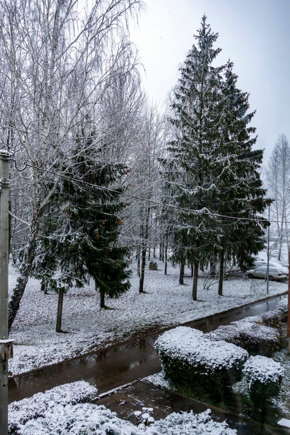Lietuviai džiaugiasi pirmuoju sniegu: dalijasi žiemiškais vaizdais