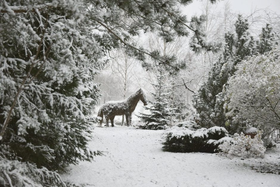 Lietuviai džiaugiasi pirmuoju sniegu: dalijasi žiemiškais vaizdais