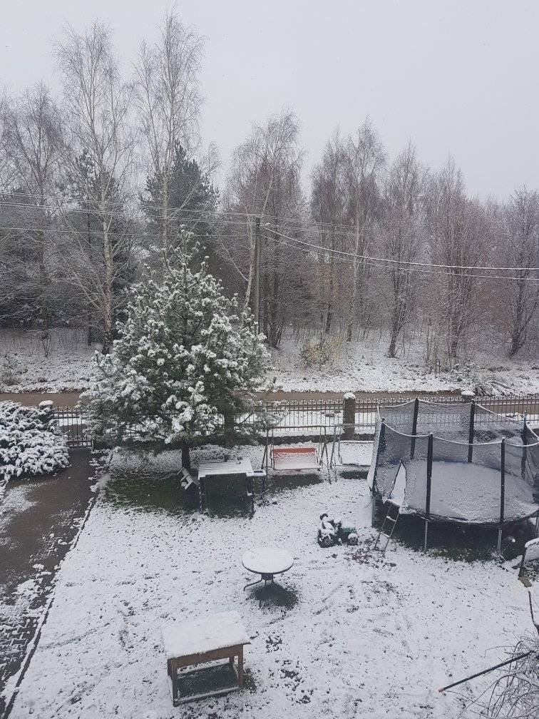 Pirmojo sniego vaizdai Lietuvoje