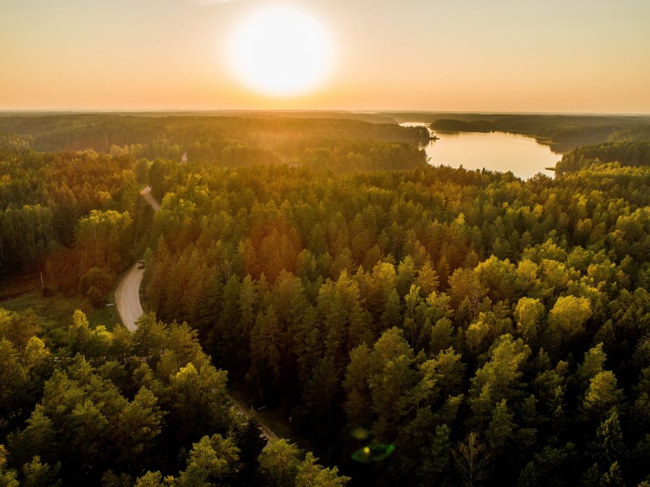 Lietuvos miškuose – pažintinės ekskursijos apie miško gyvenimo ciklą