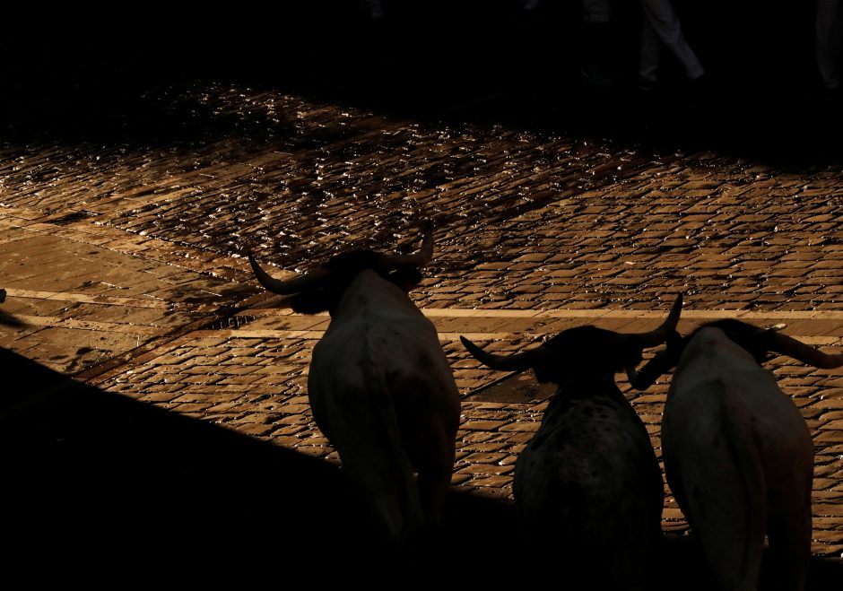 Bėgimas su buliais Pamplonoje