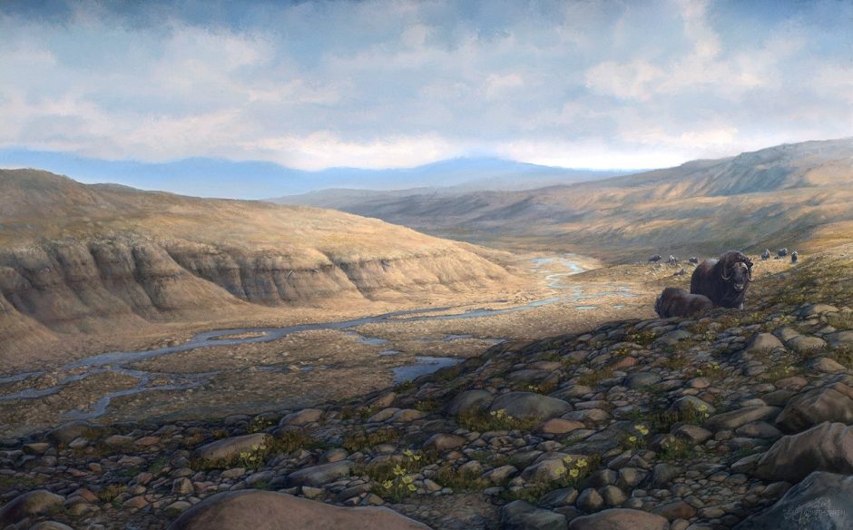 Mokslininkai Grenlandijoje rado 2 mln. metų senumo DNR