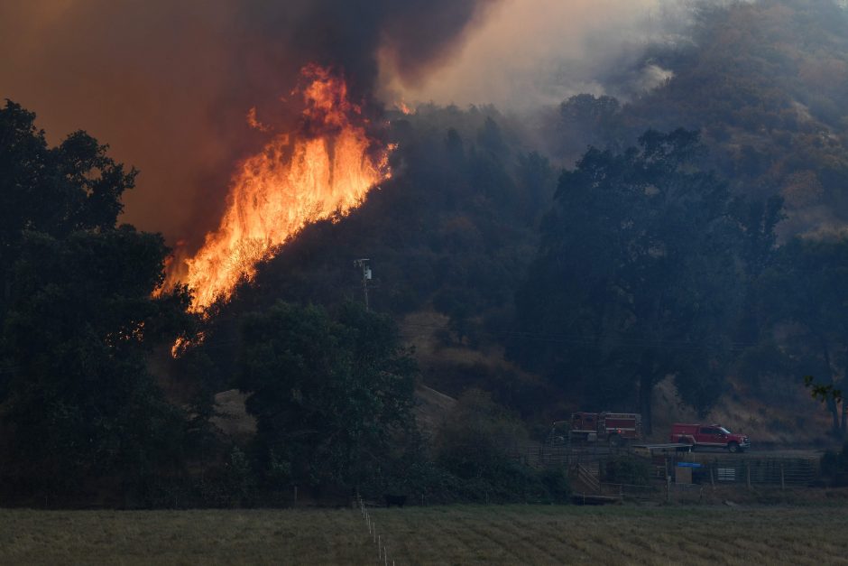 Kalifornijos miškų gaisrai – didžiausias ugnies siautėjimas per valstijos istoriją