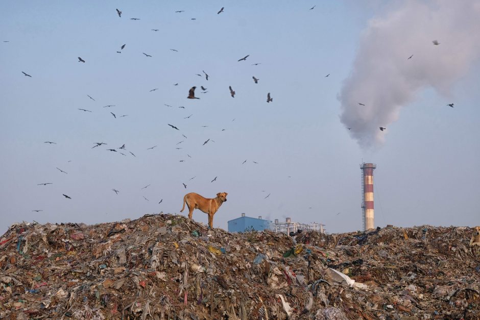 Indijos miestai – labiausiai užteršti pasaulyje