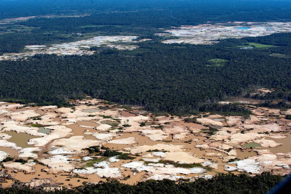 Perspėja: Brazilijos Amazonės miškų naikinimas spartėja