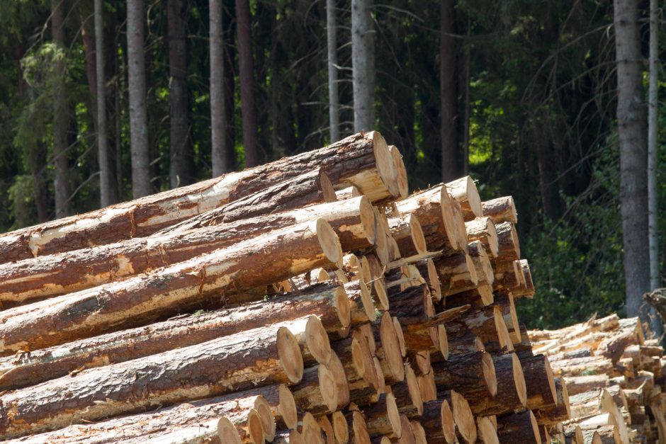 Teismas nepriėmė nagrinėti visuomenininkų skundo dėl miškų kirtimo 