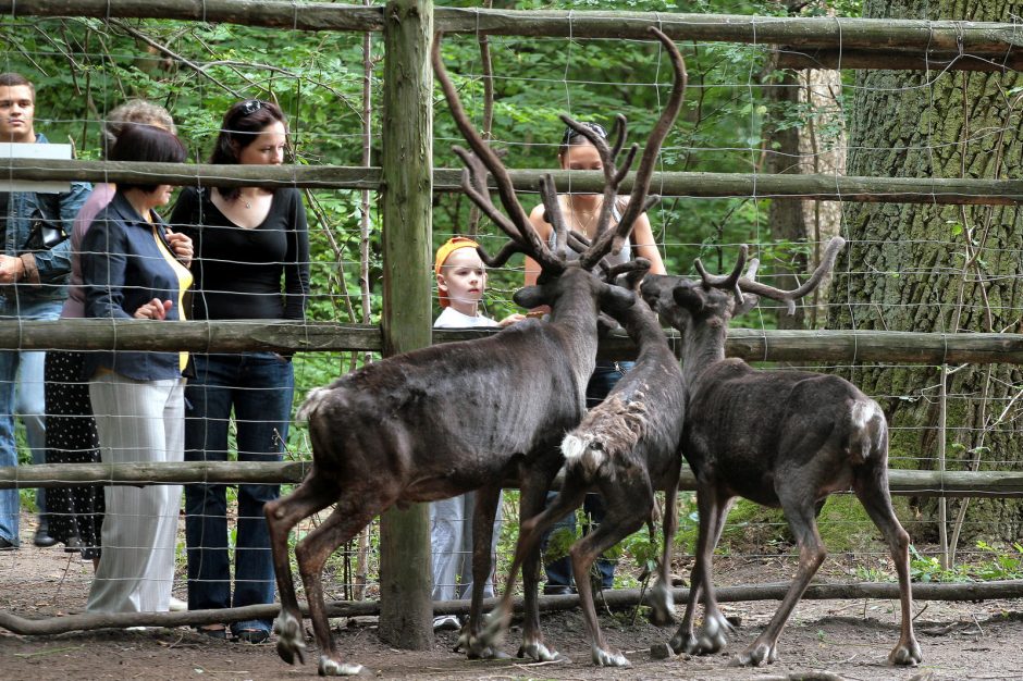 Dėl stipraus lietaus savaitgalį neveiks dalis Lietuvos zoologijos sodo