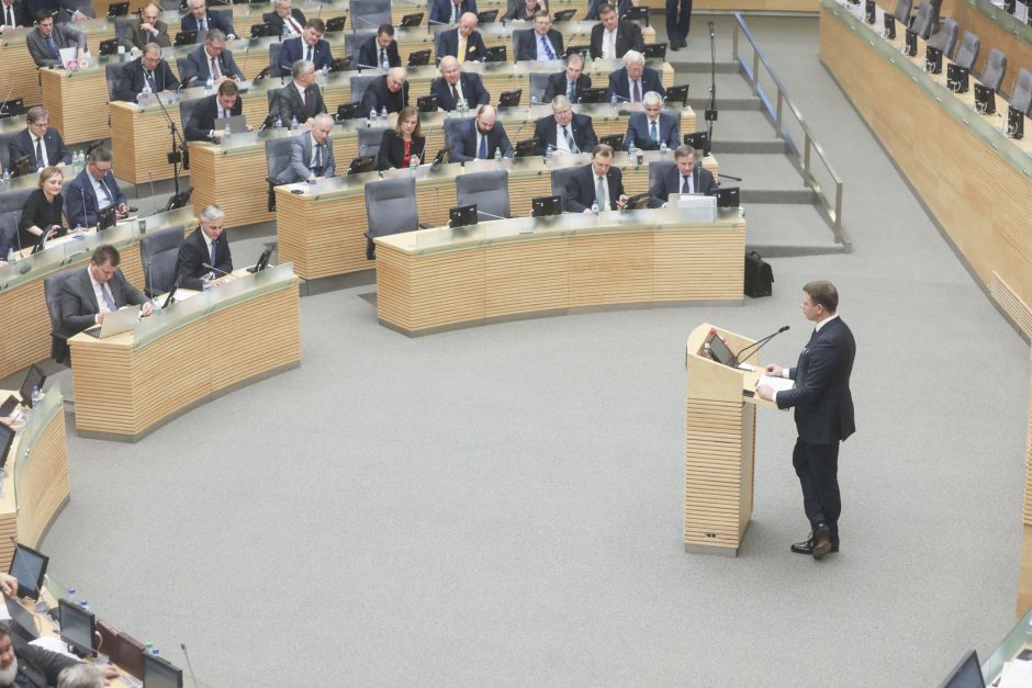 Seimas patvirtino 2019 metų biudžetą