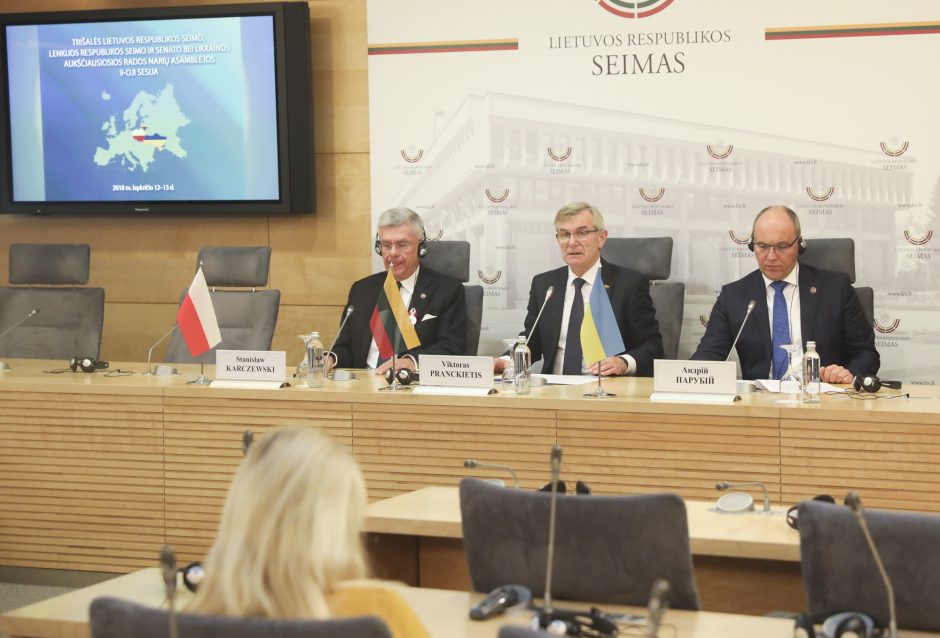 Lietuvos, Lenkijos ir Ukrainos parlamentų vadovai planuoja bendrą vizitą į JAV