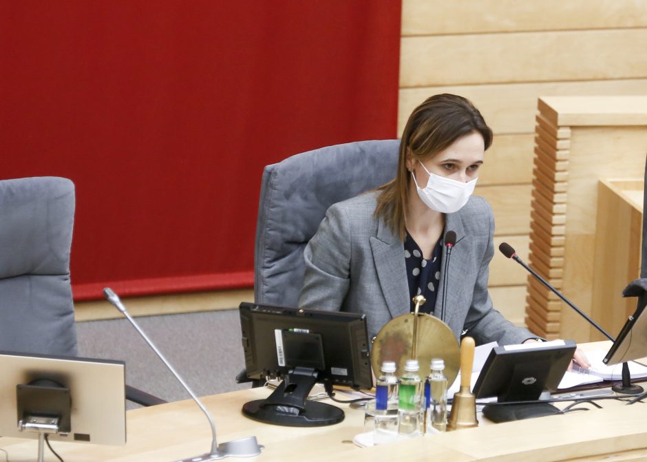 V. Čmilytė-Nielsen apie kitų metų biudžetą: dalis nueinančios valdžios planų yra nepagrįsti