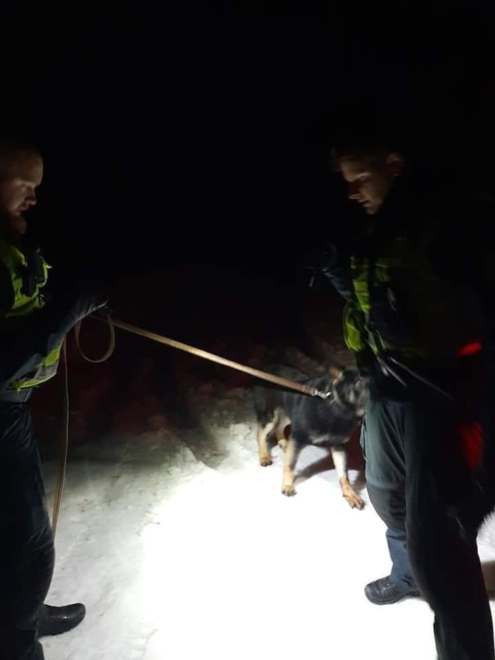 Policijos pareigūnai automobiliu partrenktą šunį pristatė gyvūnų globos draugijai